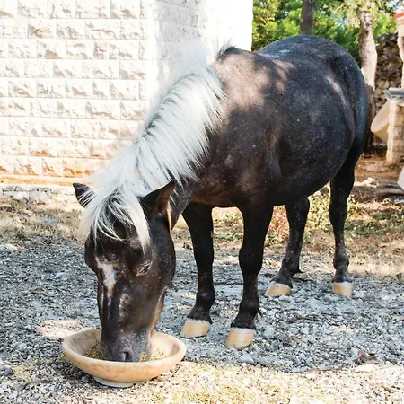 Holiday Home Pucisca 40 *